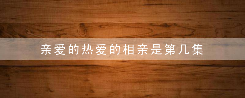 亲爱的热爱的相亲是第几集 韩商言相亲是哪一集